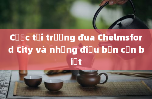 Cược tại trường đua Chelmsford City và những điều bạn cần biết