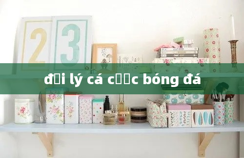 đại lý cá cược bóng đá