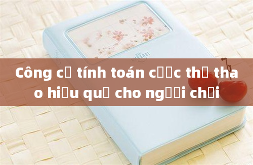 Công cụ tính toán cược thể thao hiệu quả cho người chơi