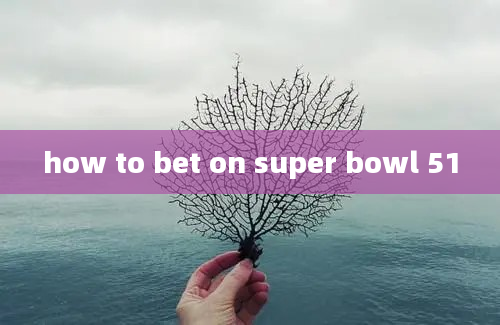 how to bet on super bowl 51