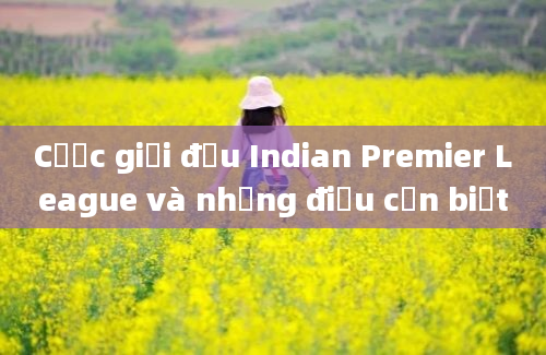 Cược giải đấu Indian Premier League và những điều cần biết