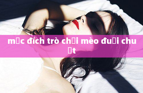 mục đích trò chơi mèo đuổi chuột