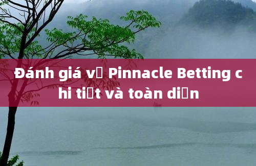 Đánh giá về Pinnacle Betting chi tiết và toàn diện