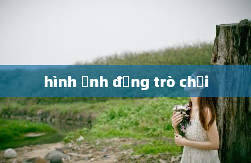 hình ảnh đọng trò chơi