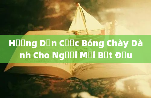 Hướng Dẫn Cược Bóng Chày Dành Cho Người Mới Bắt Đầu