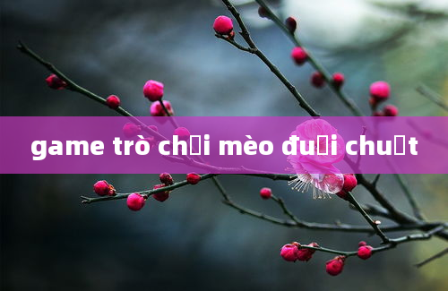 game trò chơi mèo đuổi chuột