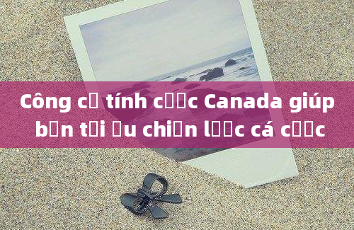 Công cụ tính cược Canada giúp bạn tối ưu chiến lược cá cược