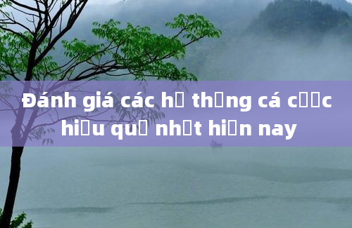 Đánh giá các hệ thống cá cược hiệu quả nhất hiện nay