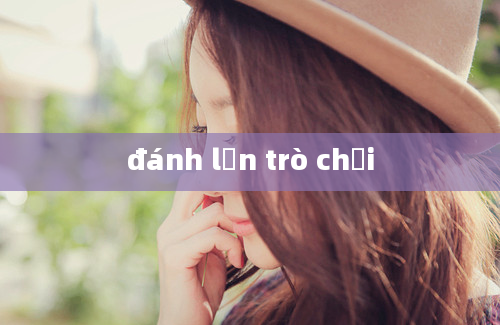 đánh lộn trò chơi