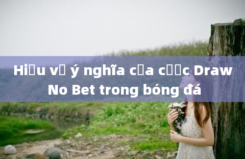 Hiểu về ý nghĩa của cược Draw No Bet trong bóng đá