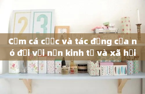 Cấm cá cược và tác động của nó đối với nền kinh tế và xã hội