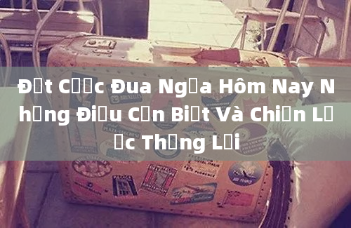 Đặt Cược Đua Ngựa Hôm Nay Những Điều Cần Biết Và Chiến Lược Thắng Lợi