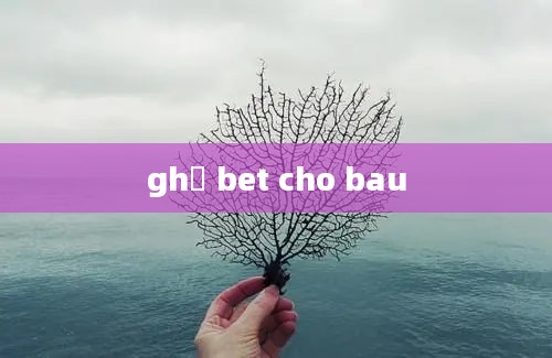 ghế bet cho bau