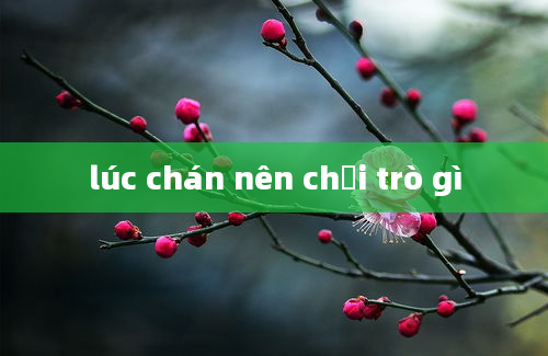 lúc chán nên chơi trò gì