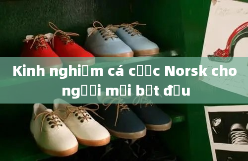 Kinh nghiệm cá cược Norsk cho người mới bắt đầu