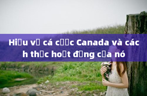 Hiểu về cá cược Canada và cách thức hoạt động của nó