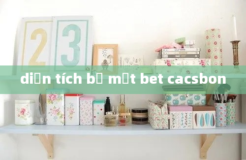 diện tích bề mặt bet cacsbon