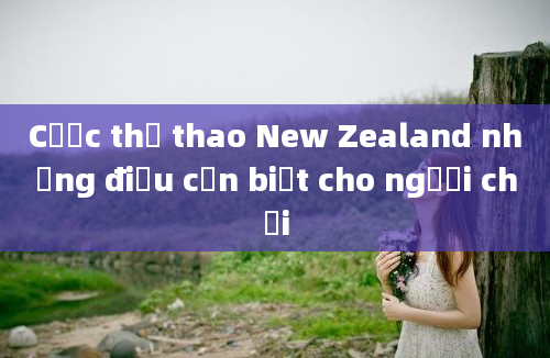 Cược thể thao New Zealand những điều cần biết cho người chơi