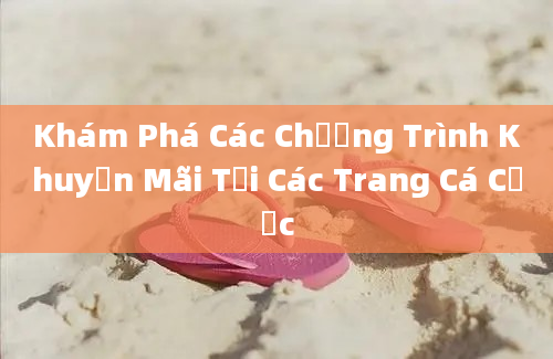 Khám Phá Các Chương Trình Khuyến Mãi Tại Các Trang Cá Cược