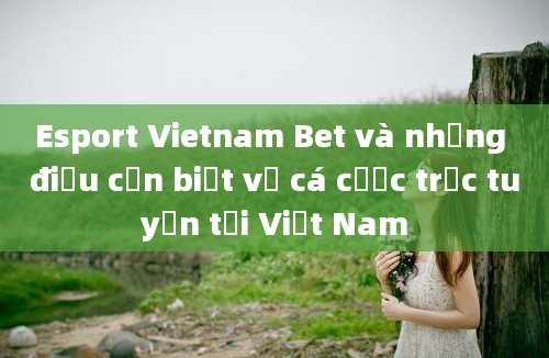 Esport Vietnam Bet và những điều cần biết về cá cược trực tuyến tại Việt Nam