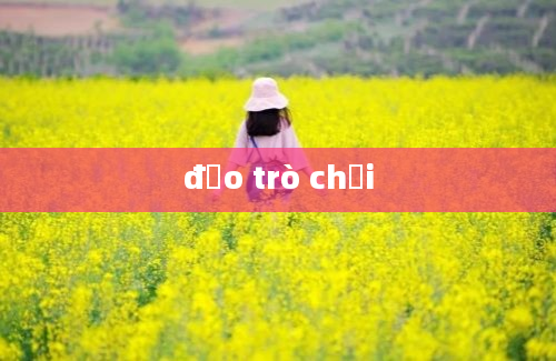 đảo trò chơi