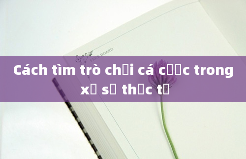 Cách tìm trò chơi cá cược trong xổ số thực tế