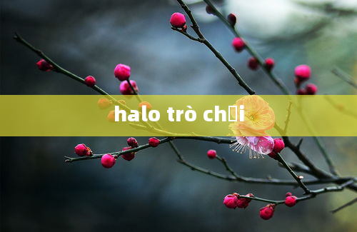 halo trò chơi