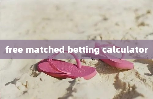 free matched betting calculator