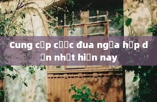 Cung cấp cược đua ngựa hấp dẫn nhất hiện nay