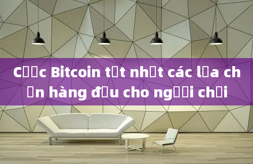 Cược Bitcoin tốt nhất các lựa chọn hàng đầu cho người chơi