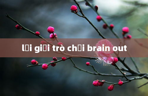 lời giải trò chơi brain out