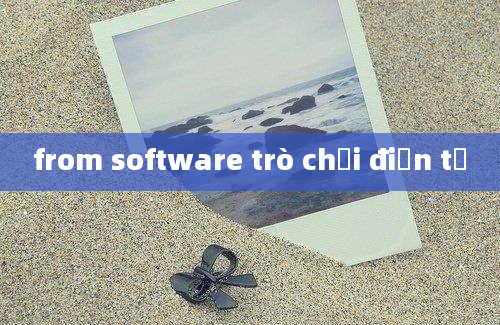 from software trò chơi điện tử