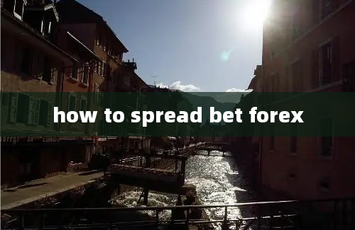 how to spread bet forex