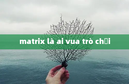 matrix là ai vua trò chơi