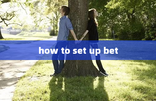 how to set up bet