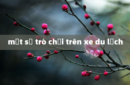 một số trò chơi trên xe du lịch