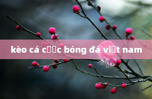 kèo cá cược bóng đá việt nam