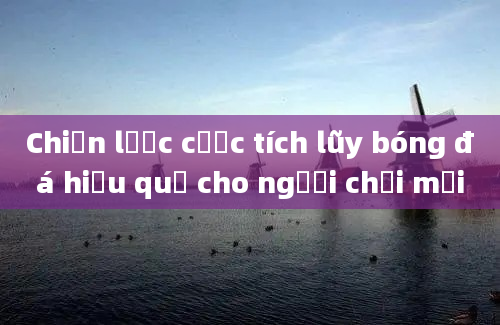 Chiến lược cược tích lũy bóng đá hiệu quả cho người chơi mới