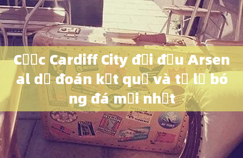 Cược Cardiff City đối đầu Arsenal dự đoán kết quả và tỷ lệ bóng đá mới nhất