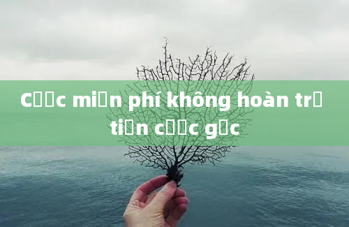 Cược miễn phí không hoàn trả tiền cược gốc