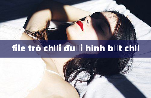 file trò chơi đuổi hình bắt chữ