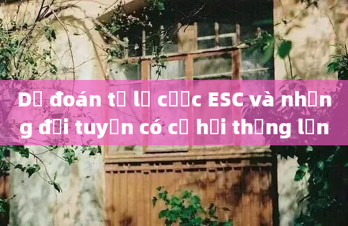 Dự đoán tỷ lệ cược ESC và những đội tuyển có cơ hội thắng lớn