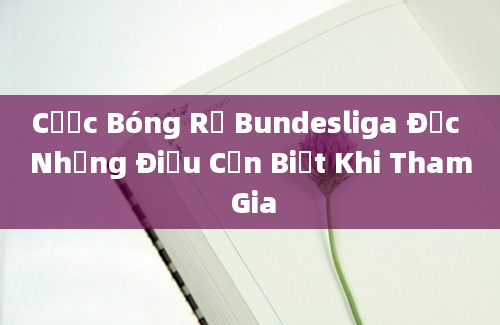 Cược Bóng Rổ Bundesliga Đức Những Điều Cần Biết Khi Tham Gia