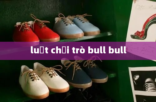 luật chơi trò bull bull