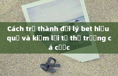 Cách trở thành đại lý bet hiệu quả và kiếm lời từ thị trường cá cược