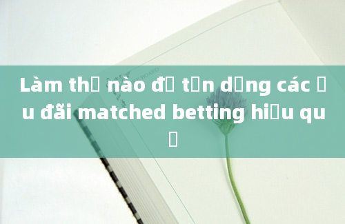 Làm thế nào để tận dụng các ưu đãi matched betting hiệu quả