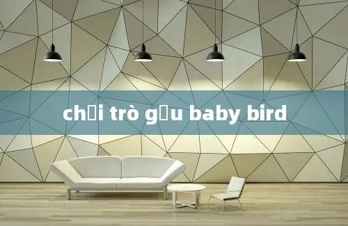 chơi trò gấu baby bird