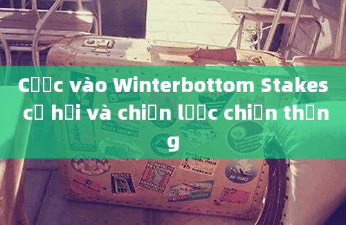 Cược vào Winterbottom Stakes cơ hội và chiến lược chiến thắng