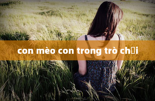 con mèo con trong trò chơi