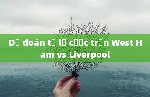 Dự đoán tỷ lệ cược trận West Ham vs Liverpool